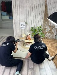 -贯日漂亮宝贝儿童摄影