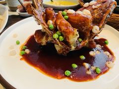 醋溜大黄鱼-扬州狮子楼·非遗淮扬菜(总店)