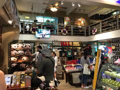 -猫咪博物馆(顶澳仔猫街店)