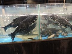 -丹江渔村(首都机场店)