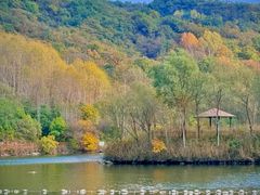 -玉渡山自然风景区