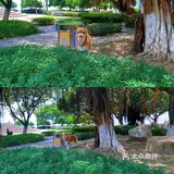 全海景海鲜餐厅