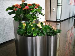 -上海静安洲际酒店-商务中心