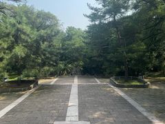 -沈阳市东陵公园