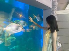 -威海华夏城景区