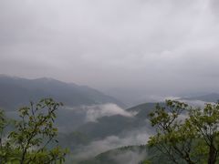-秦岭风景区