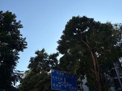 -四海公园(南山区)