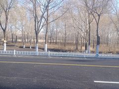 -哈尔滨大剧院