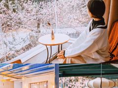 -天适樱花悠乐园