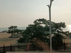 -鲸鱼先生·海鲜烤肉海景餐厅