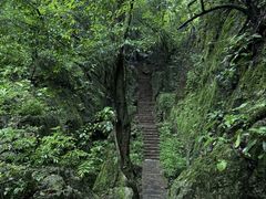 -普者黑风景区-青龙山
