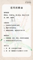 点击看大图 -芳香乐府SPA·五行芳疗