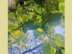 -贵阳市花溪国家城市湿地公园