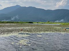-腾冲北海湿地