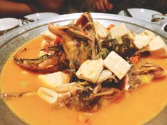 黄甲鱼焖豆腐-福子家·闽北光泽菜(华林店)