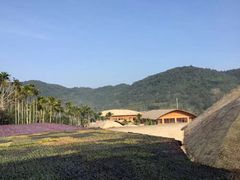 -海南槟榔谷黎苗文化旅游区
