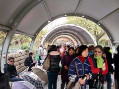 -人民公园-相亲角