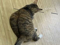 -甜心(广厦街店)