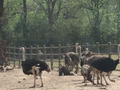 -西安秦岭野生动物园