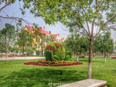 -武清南湖绿博园