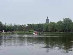 -西海子公园