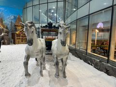 -世界之窗阿尔卑斯冰雪世界