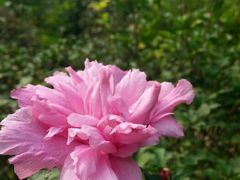 android_upload_pic-广州神农草堂中医药博物馆