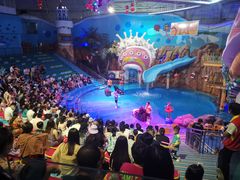 -烟台海昌鲸鲨海洋公园