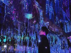 -胡里山炮台