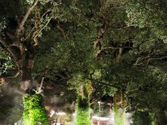 -普陀山雷迪森庄园