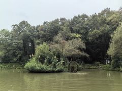 -古隆中景区