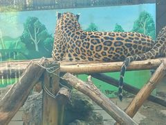 -昆明动物园