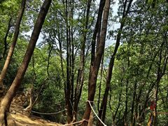 -灵岩山风景区