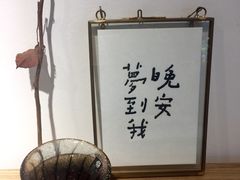 -猫里有甜