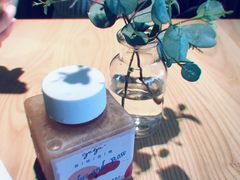 -gaga(深圳福田星河COCO Park店)