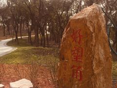 -上海市保健医疗中心(华东疗养院)