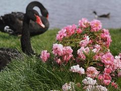 -长春市南湖公园