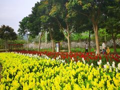 -天适樱花悠乐园