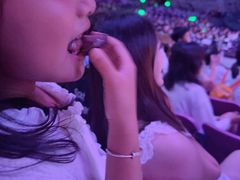 -广州长隆国际大马戏