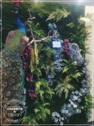 -北京炫美医疗美容