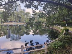 -塔子山公园