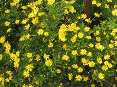 IMG_4757-奥林匹克森林公园南门-停车场