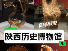 -陕西历史博物馆
