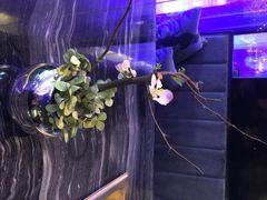 王家渡火锅店-王家渡火锅(金宝汇店)