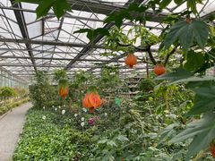 -南宫五洲植物乐园