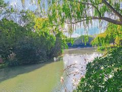 -自然谷恐龙园