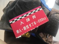 -锐擎卡丁车主题乐园(郊野公园店)