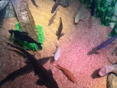 -沈阳海洋探索中心