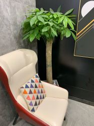 -AYO SALON