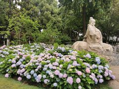 -常州古运河南大街文化旅游区-人民公园